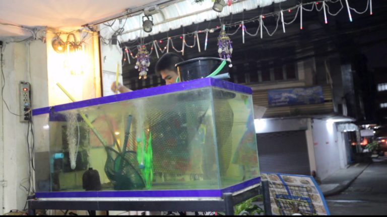 Bangkok – wyławianie krabów na kolację