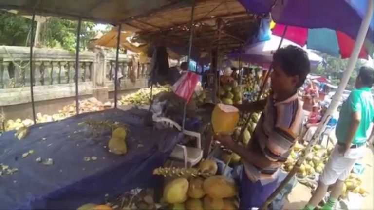 Sok z kokosa  – Indie 2015