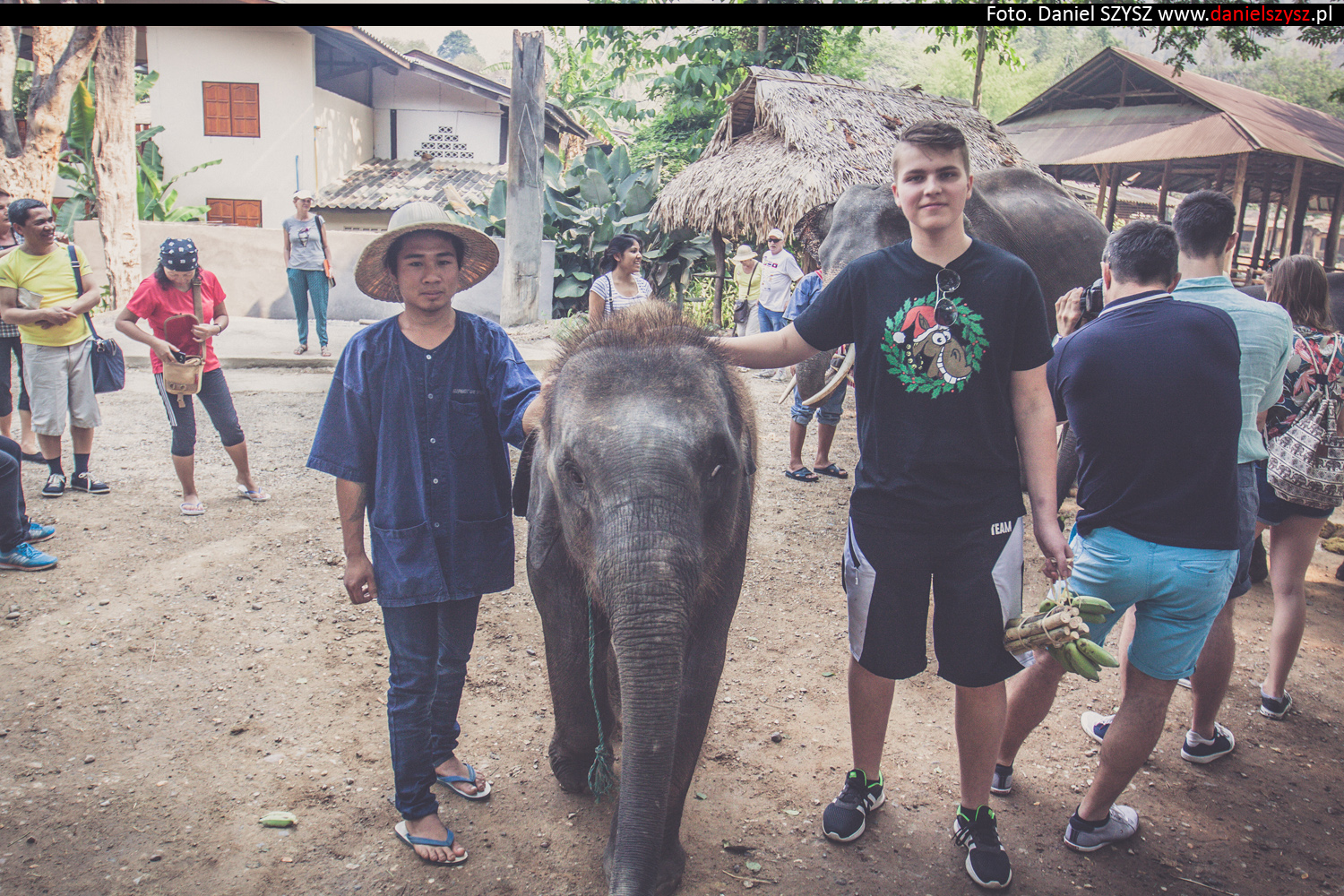 tajlandia-chiang-mai-karmienie-sloni-304