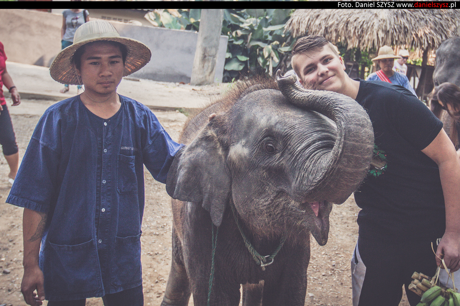 tajlandia-chiang-mai-karmienie-sloni-308