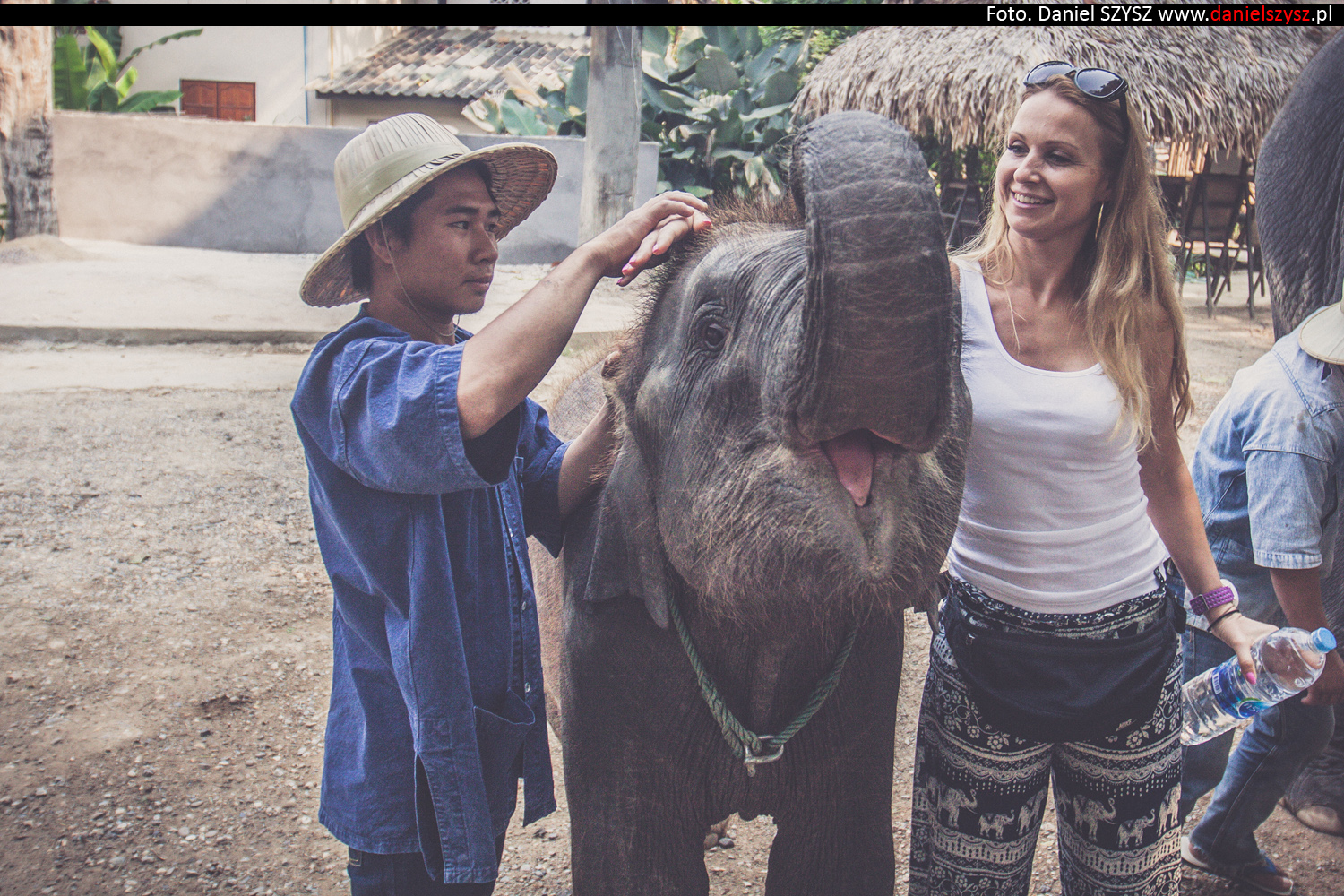 tajlandia-chiang-mai-karmienie-sloni-34