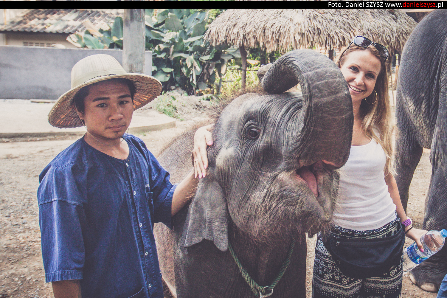 tajlandia-chiang-mai-karmienie-sloni-36