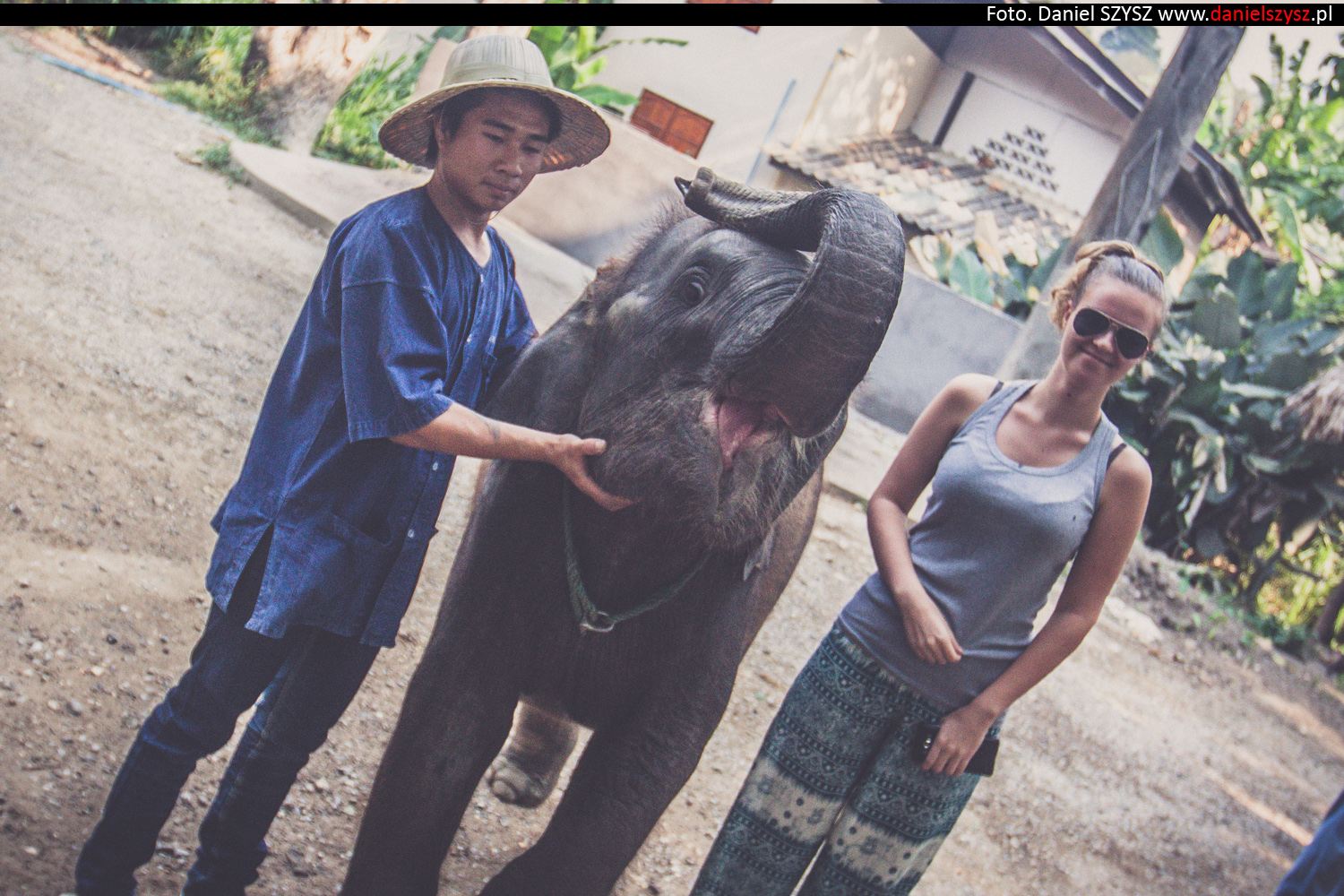 tajlandia-chiang-mai-karmienie-sloni-45
