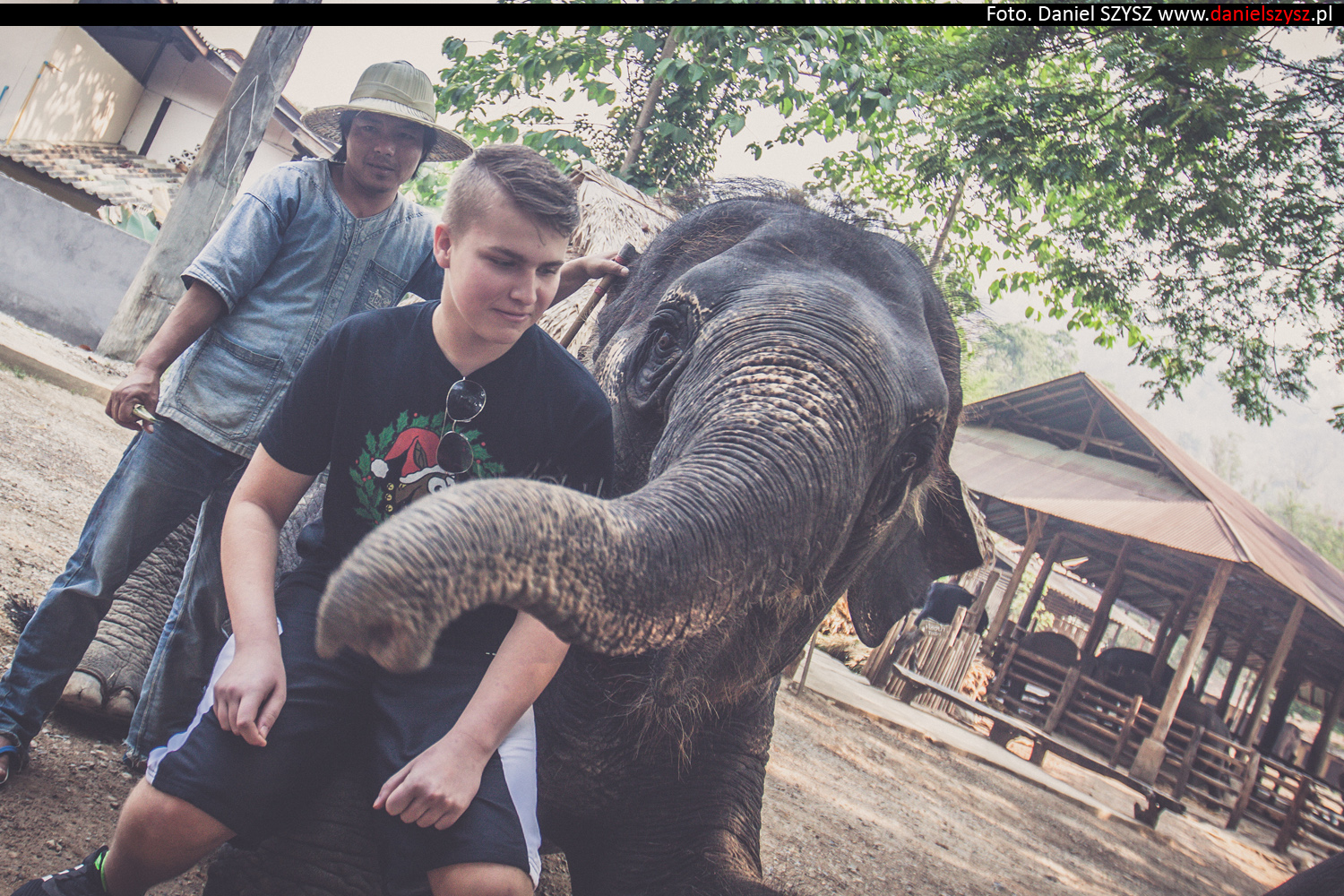tajlandia-chiang-mai-karmienie-sloni-7