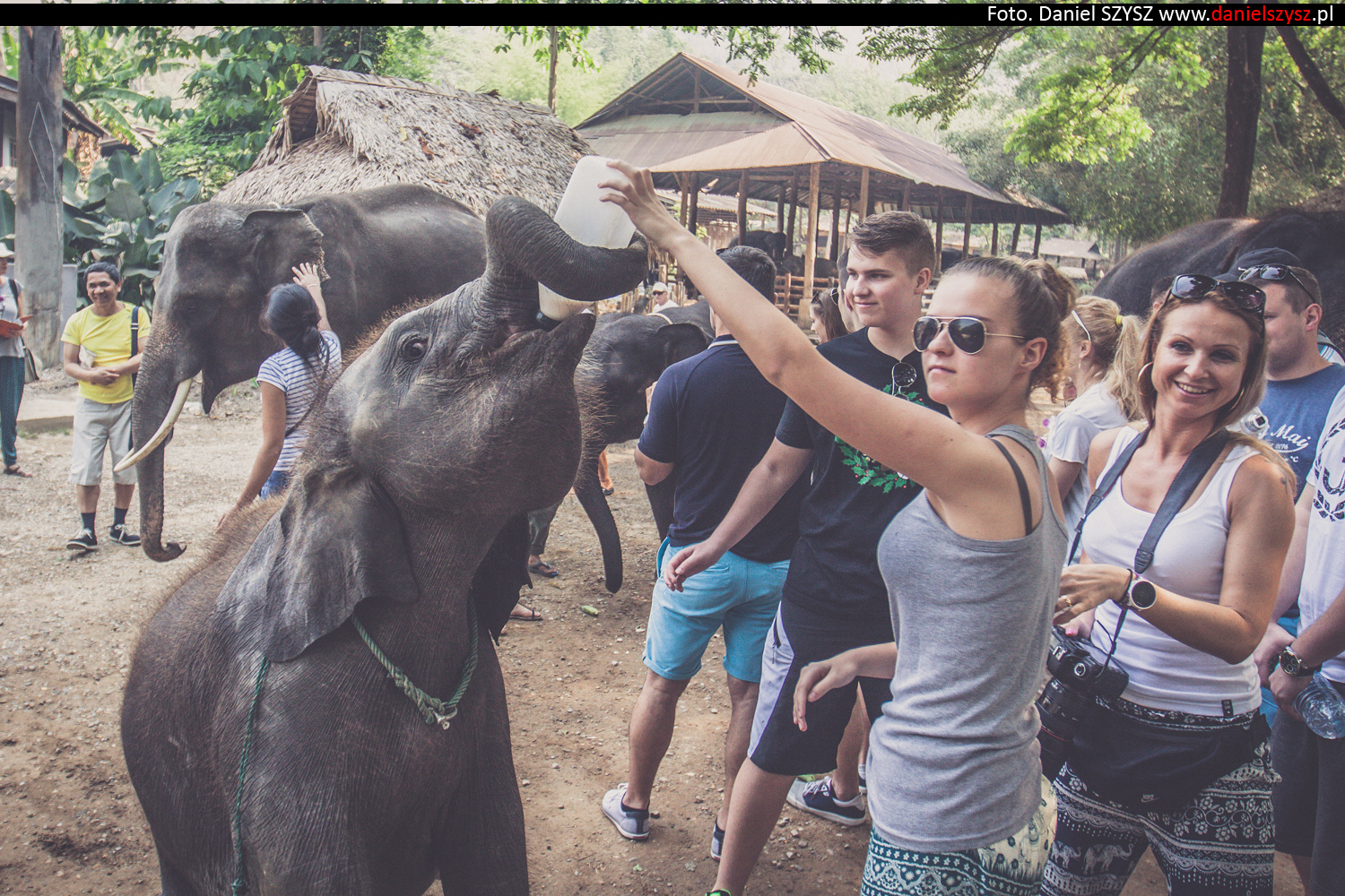 tajlandia-chiang-mai-karmienie-sloni-80
