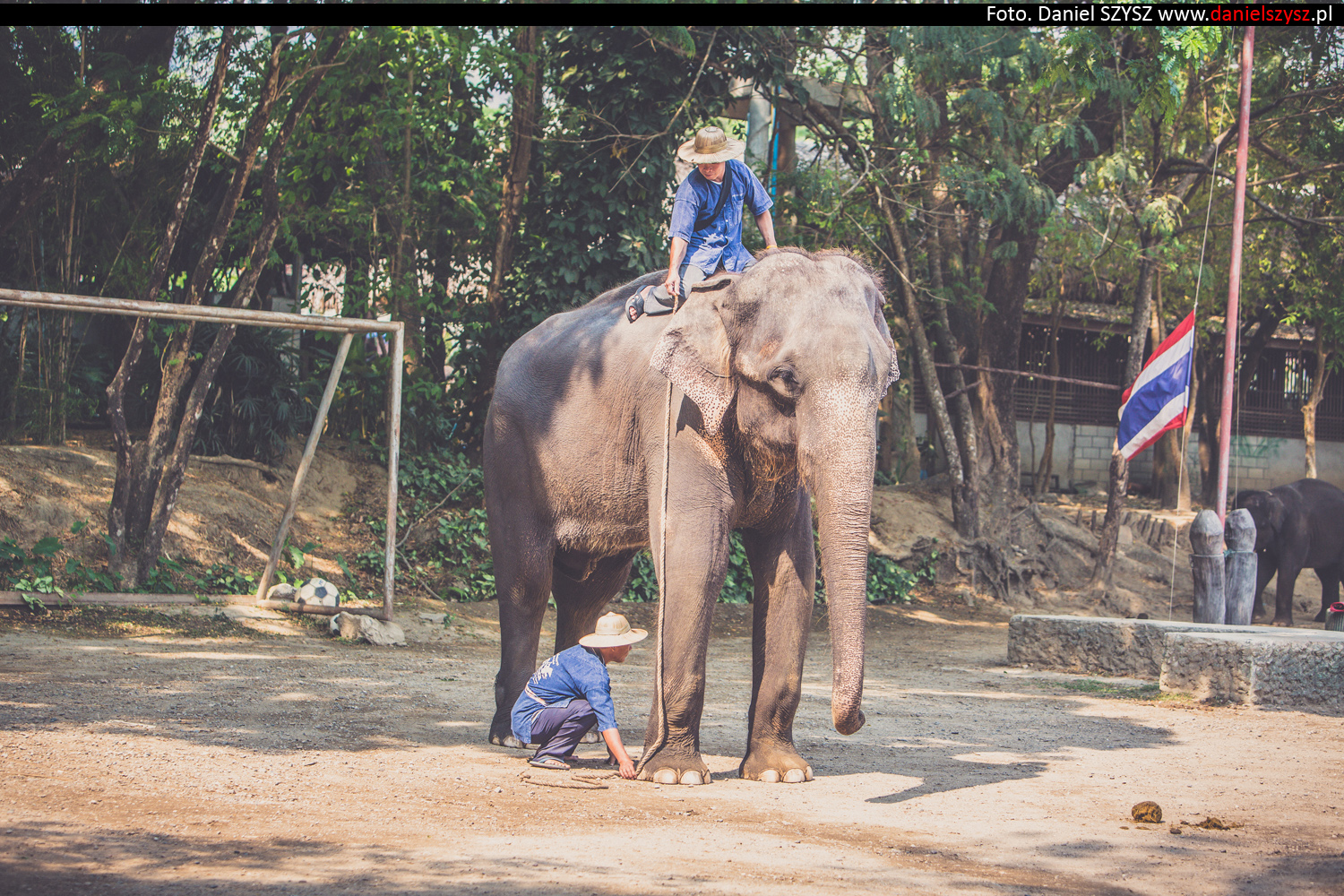 tajlandia-chiang-mai-pokazy-sloni-694